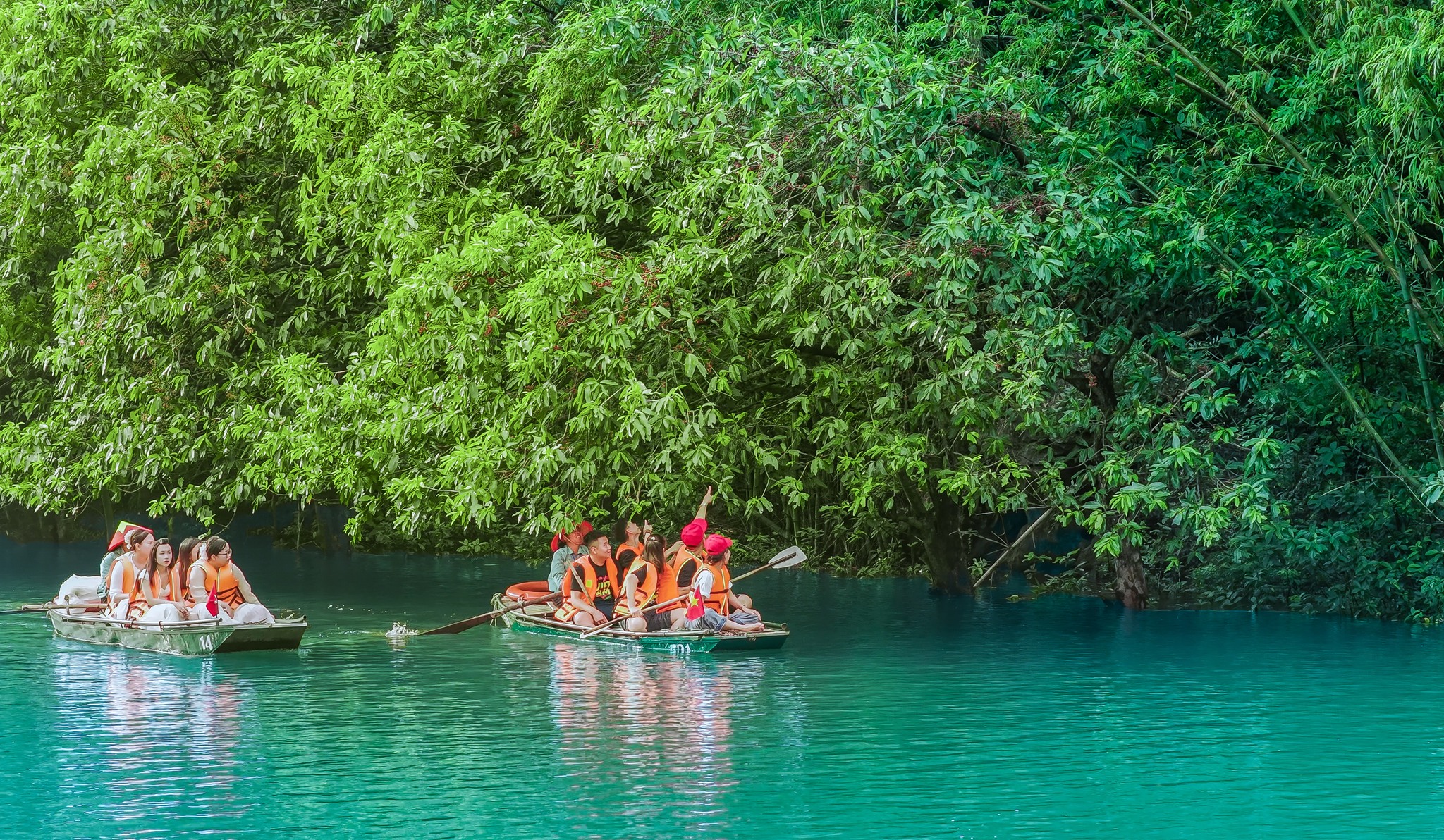 547092831 1213313497509061 2502159648795286992 n