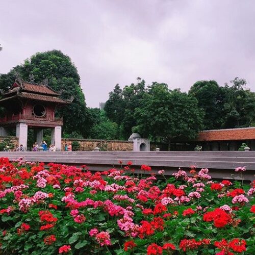Diem tham quan o ha noi van mieu