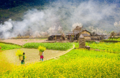 Canh dep ha giang 07 1024x668
