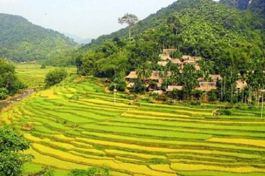 Mai chau