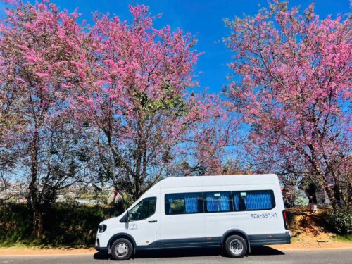 Thuê xe 18 chỗ đi Phú Yên giúp tiết kiệm chi phí