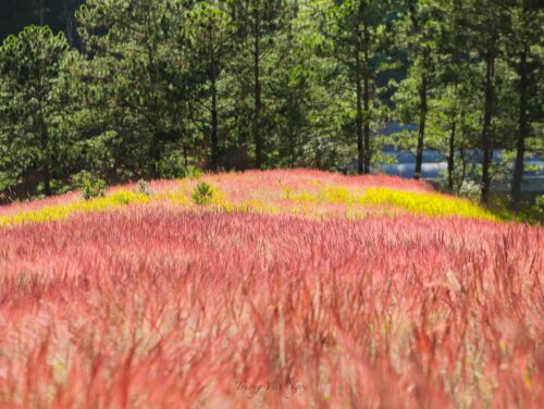 596486747 1397510338405058 8165098868912780015 n